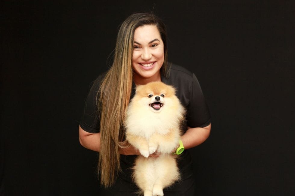Hidratação e manutenção na pelagem longa dos cães: você sabe como fazer?