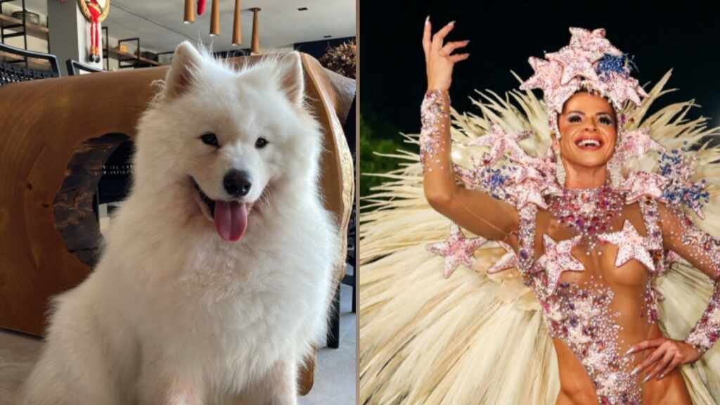 Musa da Grande Rio , Karen Lopes lamenta morte de cachorro. Musa da Grande Rio , Karen Lopes lamenta morte de cachorro.