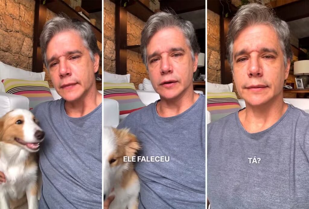 Márcio Garcia anuncia morte do cão Dogo e se emociona ao falar de despedida Márcio Garcia anuncia morte do cão Dogo e se emociona ao falar de despedida