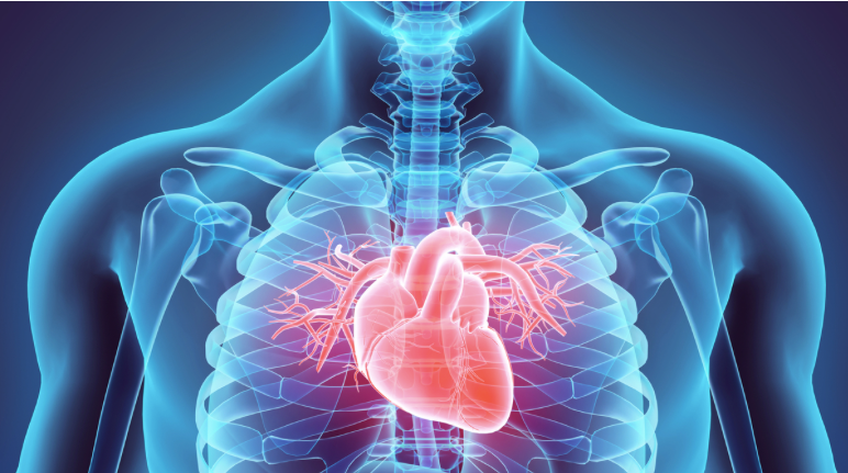 Fevereiro, o mês do coração: por que o check-up cardiovascular nunca foi tão importante Fevereiro, o mês do coração: por que o check-up cardiovascular nunca foi tão importante